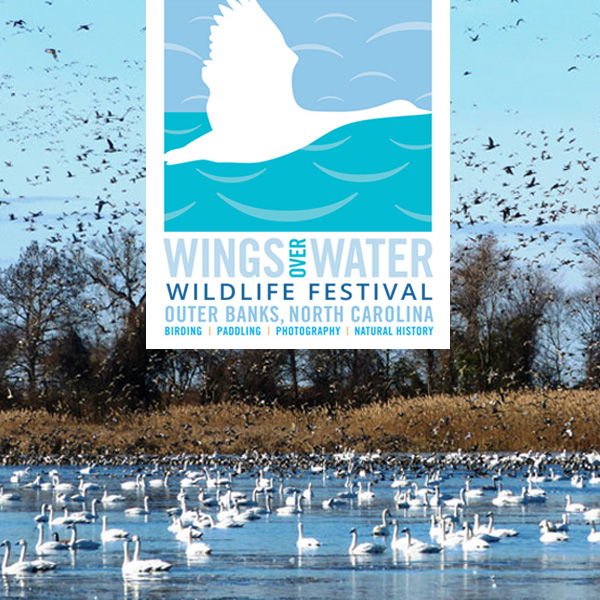 Wings Over Water Event